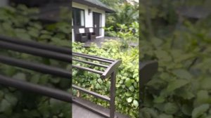 Phi phi holiday resort