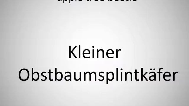 How to say apple tree beetle in German? смотреть онлайн
