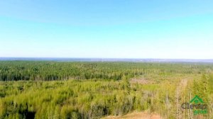 Коттеджный поселок Дача у Игоры. Май 2021