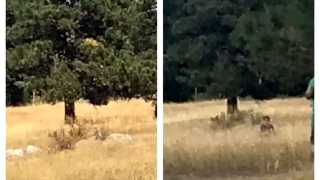 Женщина фотографировала своего мужа… Приглядевшись она обомлела! смотреть онлайн