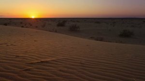 Тайный мир звуков с Дэвидом Аттенборо 1 серия «Охотники и жертвы» (документальный сериал, 2024)