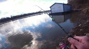 ОКУНЬ РЯДОМ С БАНЕЙ.