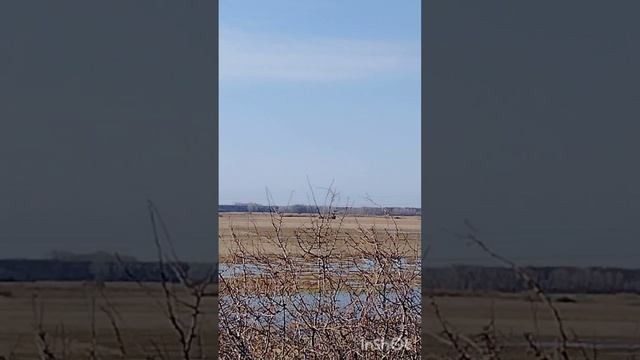 Безусловная любовь.