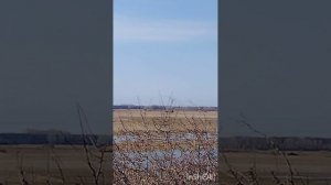 Безусловная любовь.