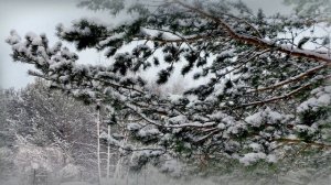 Зимняя красота дом отдыха Шахтёр видеоклип