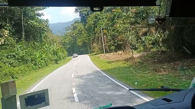13 Malaysia, Cameron Highlands дорога в Tanah Rata, Малайзия