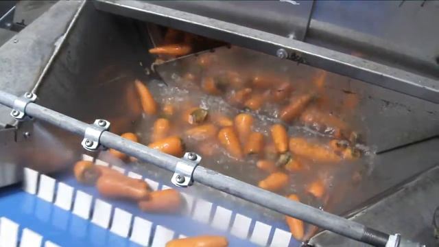 Автоматическая линия для упаковки моркови смотреть онлайн