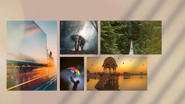 Photography Portfolio Collage Video Template | Photography Collage Video No Copyright Without Text смотреть онлайн