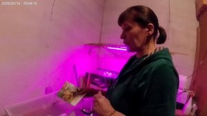 И снова птички.