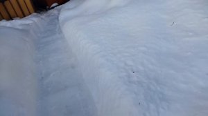 Накидываем снег в теплицу!