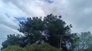 Сочи отель Жемчужина апрель 2025