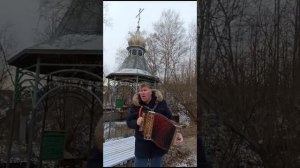 "Гармошка, родная гармошка"