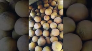 Хандалак жуда яахши