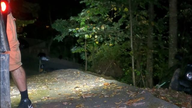 Gatlinburg Bears Subaru Winchout Smoky Mountains