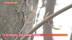 А за окном. 2 апреля 2025