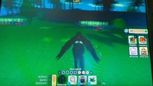 Checking out the new Kelpie species in Horse Life! (late) Horse Life Roblox
