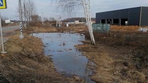 31.03.2025.С.Ильинское.Домодедово.Обзор Часть 2.