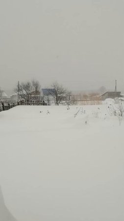 Нас замело снегом!