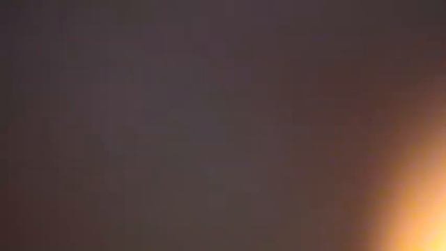 ВЕРНОСТЬ МАГНИТНОЙ СОБАКИ смотреть онлайн