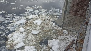 Нева, Ледоход 2025.