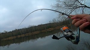 Shimano 22 Stella 2500s РАЗЛОВЛЕНА! Рыбалка 2025