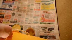 Инкубатор Поседа - обзор.  Вывод цыплят в инкубаторе