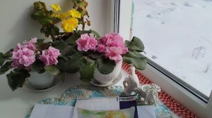 отчёт№1в СО,,Душечка-подушечка,,.