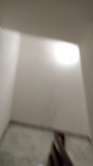 гуляем с ЛП смотреть онлайн