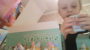 распаковка подарочки из Китая с котиками