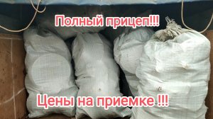 Сдача цветного металла!!!Полный заработок за сезон копа!!!Цены на приемке!!!