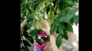 Путешествие в мир природы