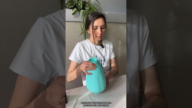 ПОДКОРМКА КОМНАТНЫХ РАСТЕНИЙ 🌱
