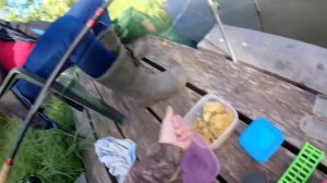 Флэт,кормак, мостырка,Рулит))