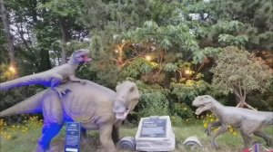 Корея Пусан air cruise в Сондо , катаемся на канатной дороге! Красивый парк на острове.