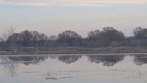 Розлив река Ока