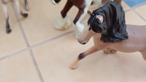 лошади играли в Правда или действие