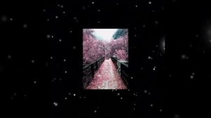 Пж пиши в коменты