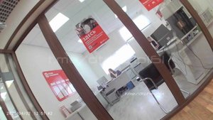 Осмотр Альфастрахование Ростов