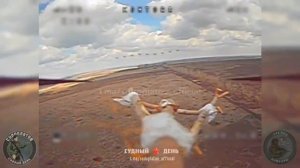 Воздушные бои на дронах в зоне СВО