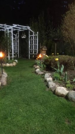 1 мая вечер в саду #garden #цветы #дача #flowers #сад #gardening