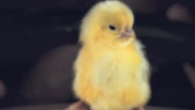 Saturn Commercial смотреть онлайн