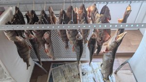 Коптим рыбку на даче