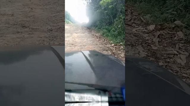 Driver sumo- sngap kumno kren i driver sumo ia ki nong mihkhmat MLA #3 смотреть онлайн