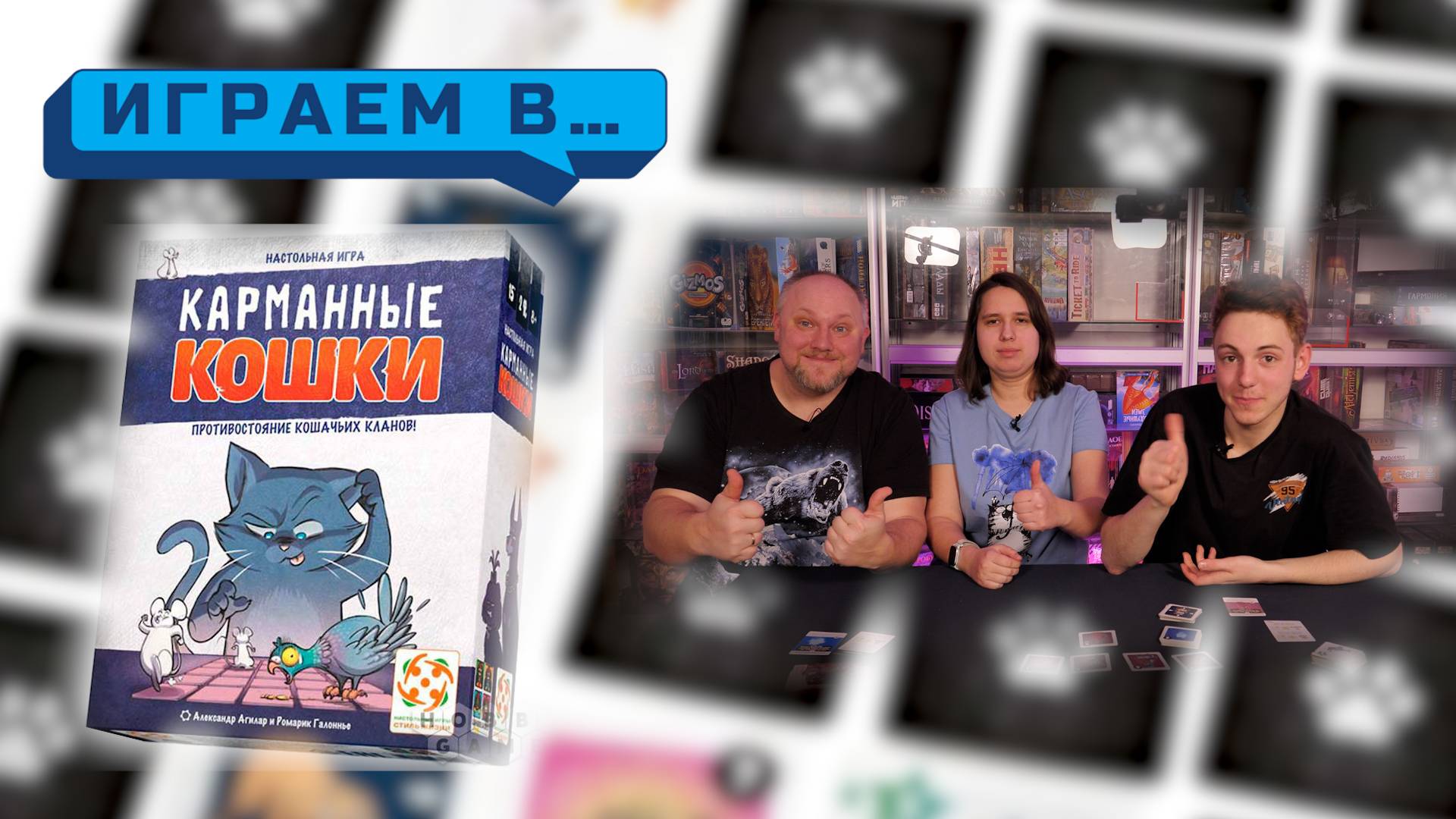 Играемв КАРМАННЫЕ КОШКИ
