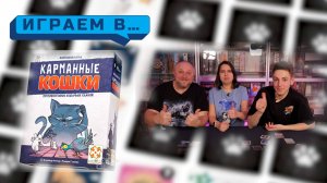 Играемв КАРМАННЫЕ КОШКИ