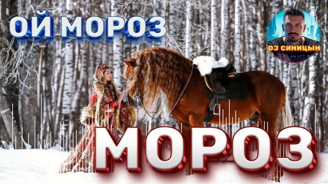 DJ СИНИЦЫН - Ой, мороз мороз 2025