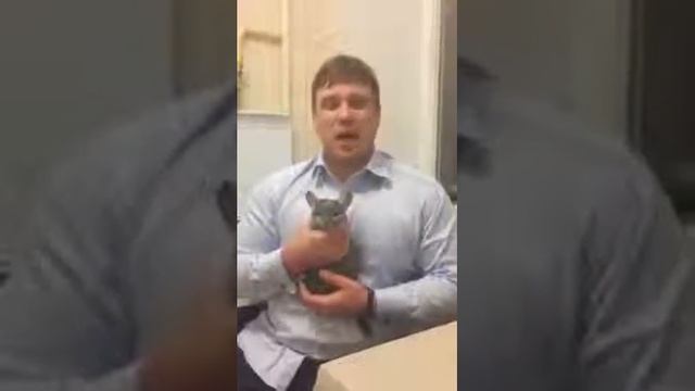 "Отзыв о ЖК “Золотая Звезда“: прекрасные - застройщик, доступность, экология!" смотреть онлайн