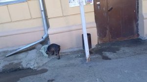 Живём по меню//2 апреля 2025//среда//и болтаем и готовим