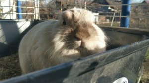 Решаюсь их отпустить, будь что будет!