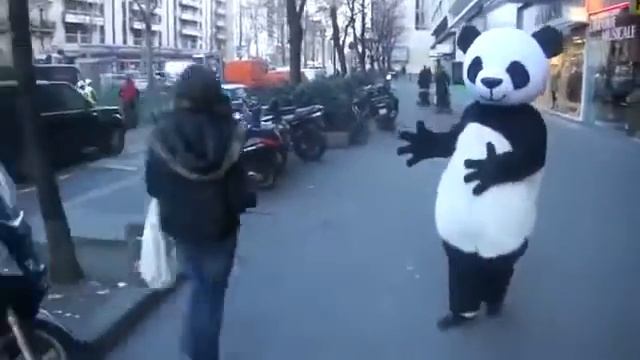 Панда владеет магией смотреть онлайн